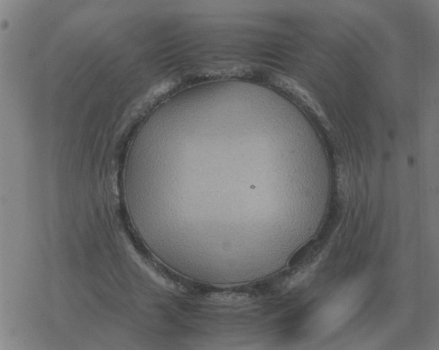 X0000077390633200611101755