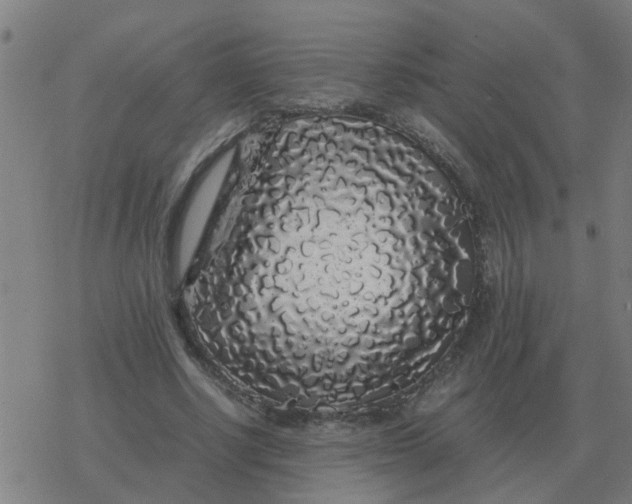 X0000077390634200611101755