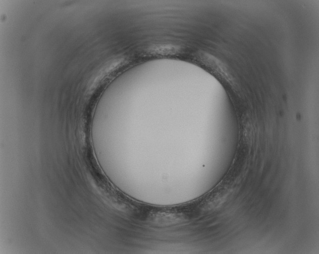 X0000077390635200611101755