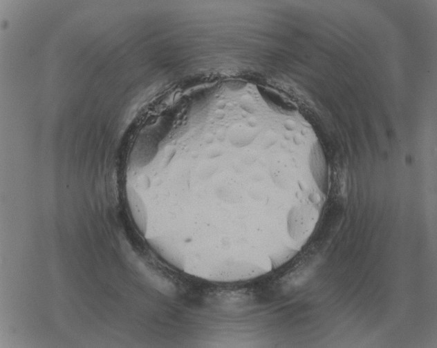 X0000077390638200611101755