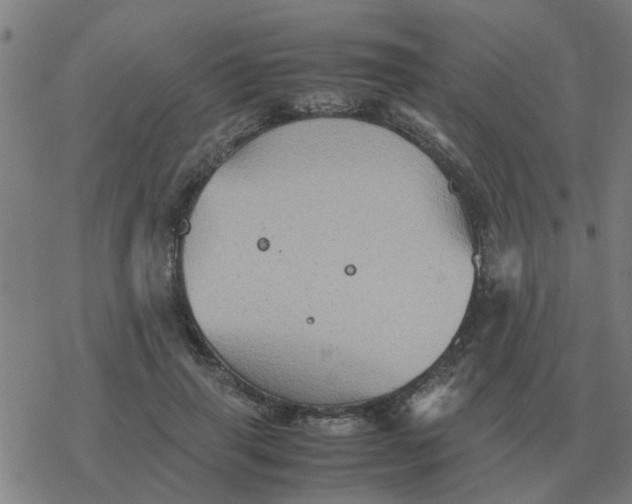 X0000077390645200611101755