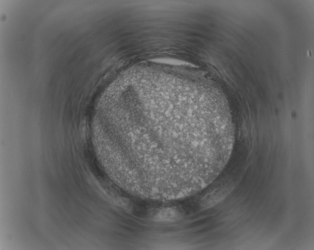 X0000077390647200611101755