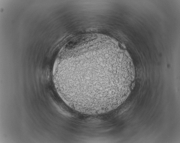 X0000077390648200611101755