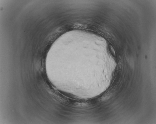 X0000077390649200611101755