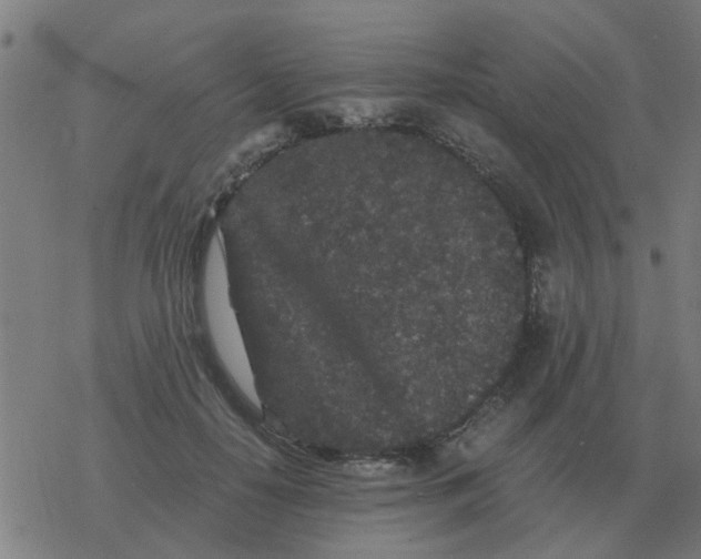 X0000077390650200611101755