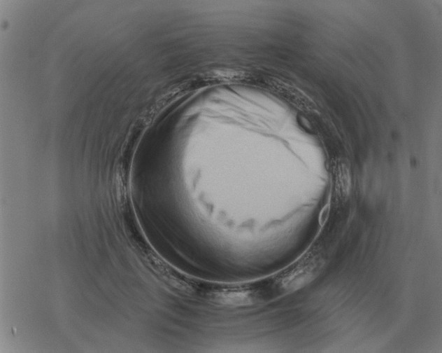 X0000077390651200611101755