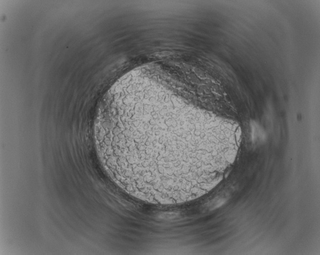 X0000077390653200611101755