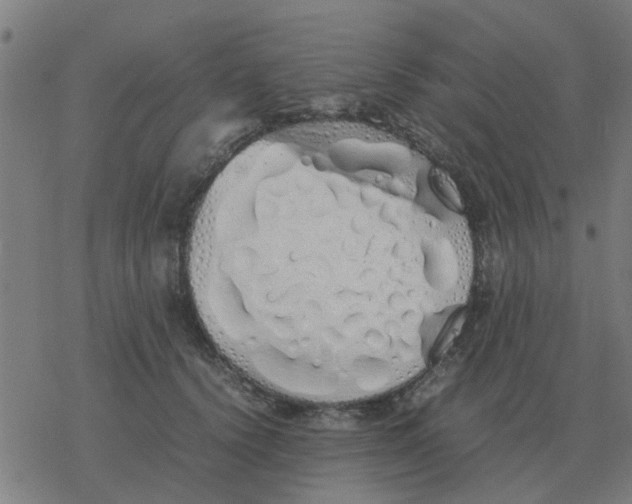 X0000077390656200611101756