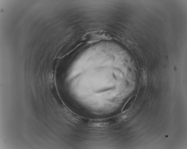 X0000077390657200611101756