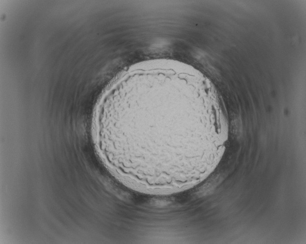 X0000077390662200611101756