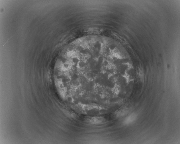 X0000077390663200611101756