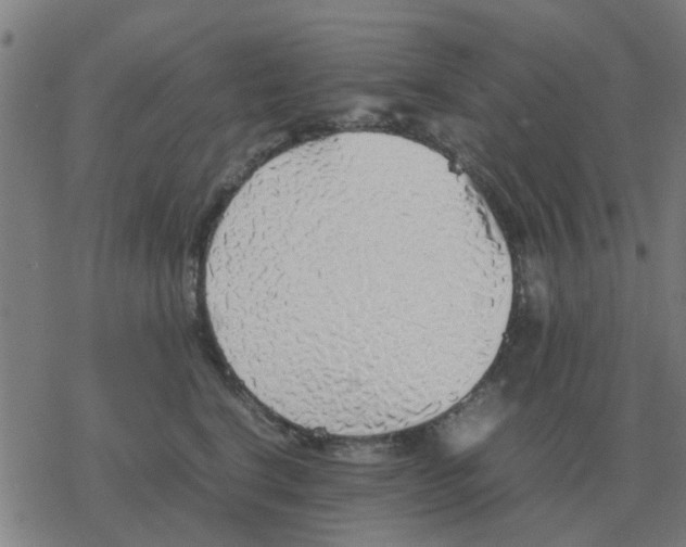 X0000077390664200611101756