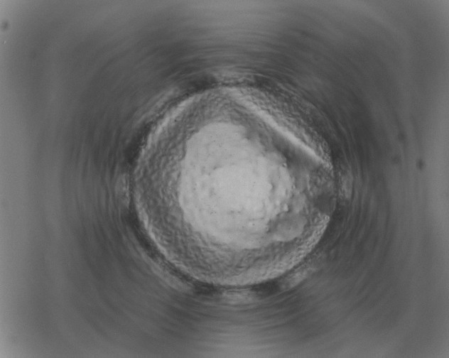 X0000077390666200611101756