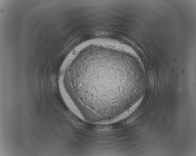 X0000077390667200611101756