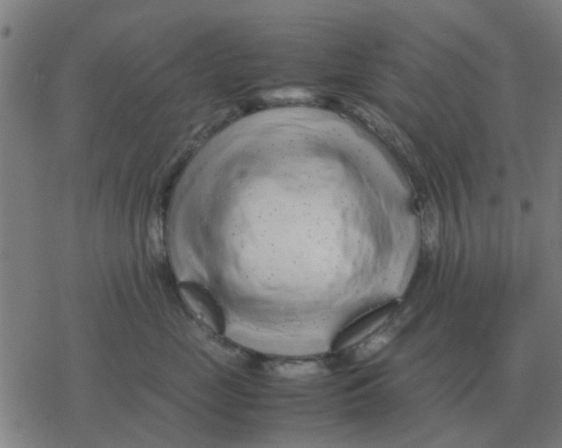 X0000077390669200611101756