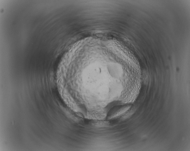 X0000077390670200611101756