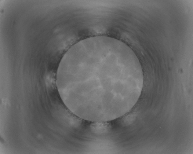 X0000077390672200611101756