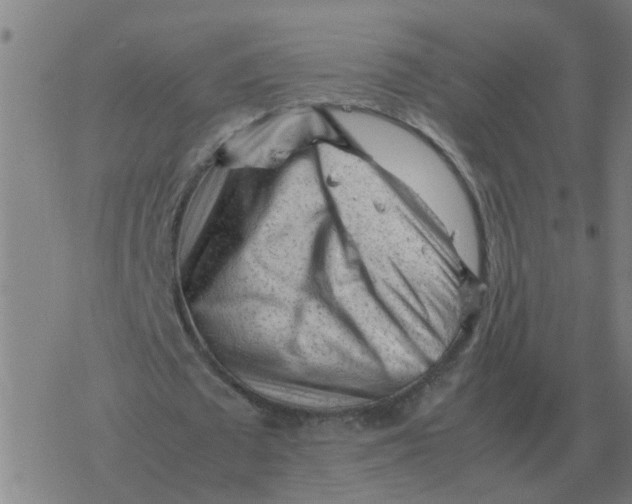 X0000077390673200611101755