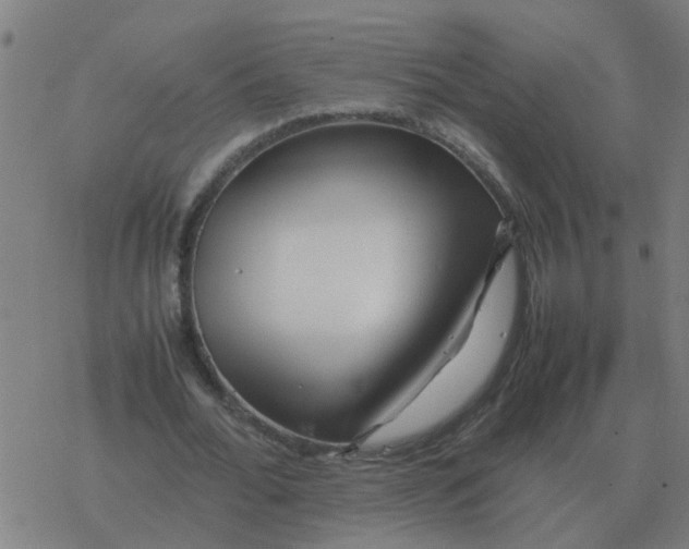 X0000077390676200611101755