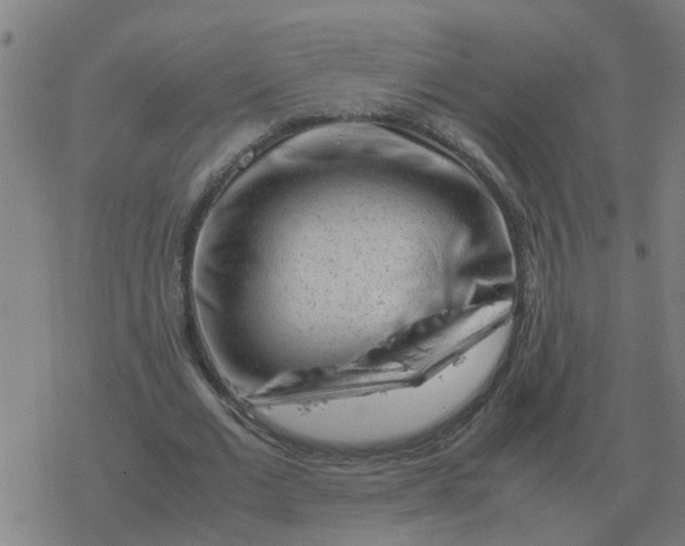 X0000077390677200611101755