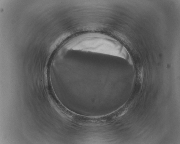 X0000077390678200611101755