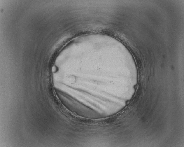 X0000077390679200611101755