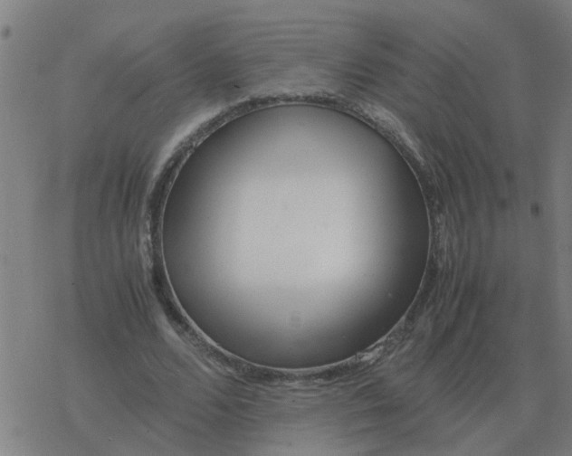 X0000077390680200611101755