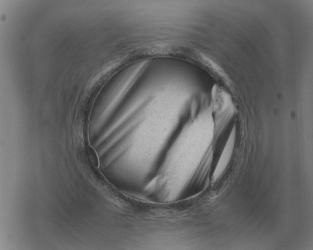 X0000077390681200611101755