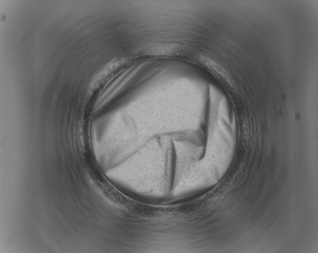 X0000077390682200611101755