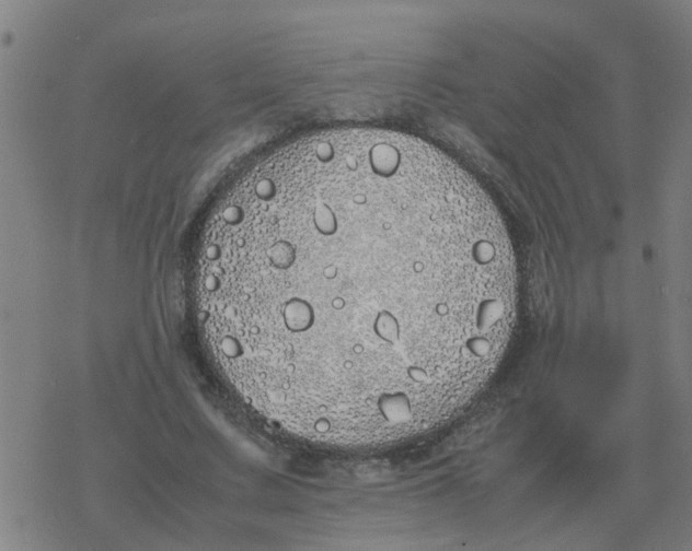 X0000077390683200611101755