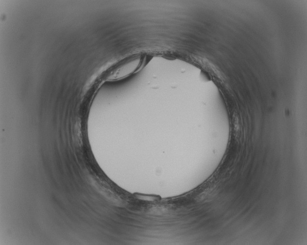 X0000077390684200611101755