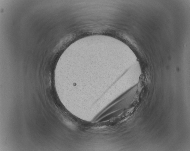 X0000077390685200611101755