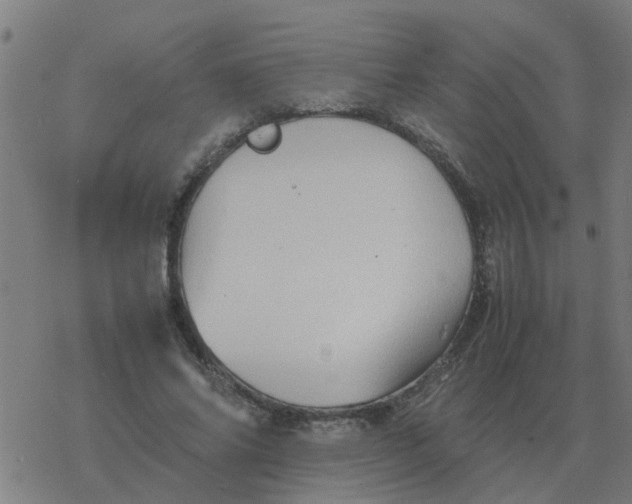 X0000077390686200611101755