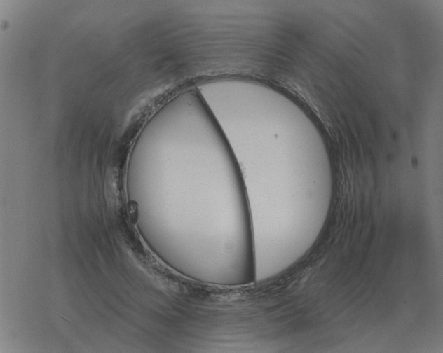 X0000077390688200611101755