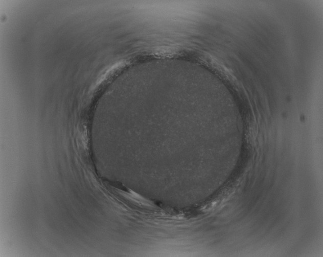 X0000077390689200611101755