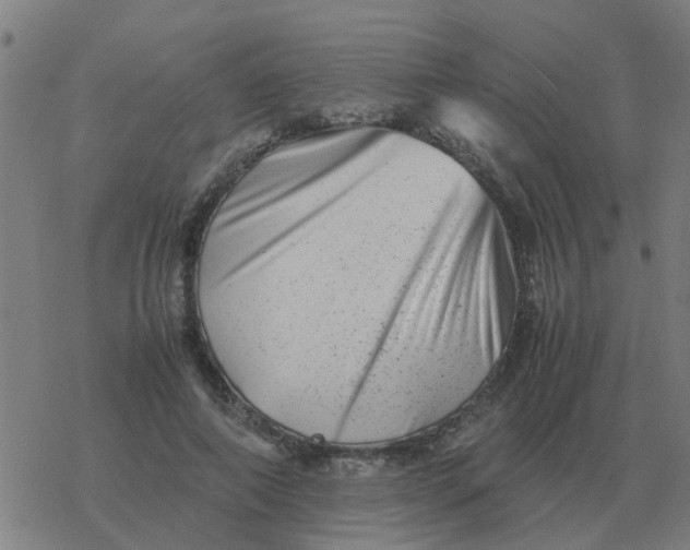 X0000077390690200611101755