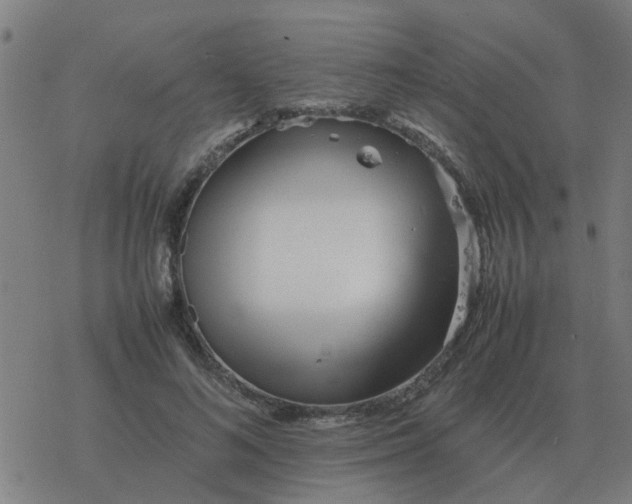 X0000077390692200611101755