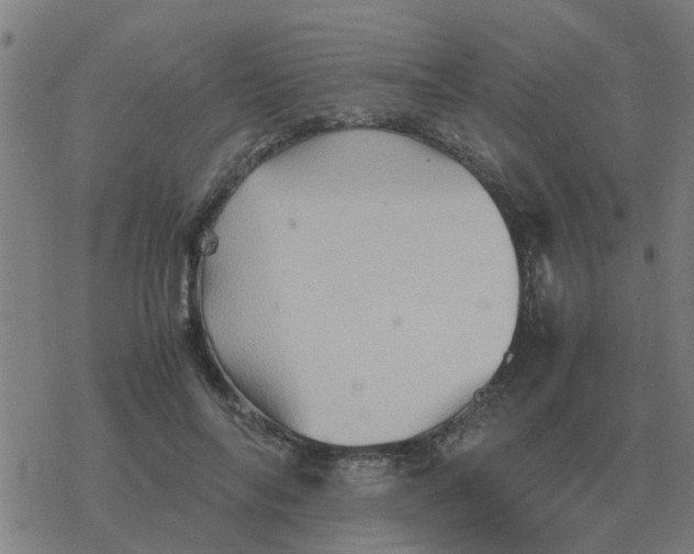 X0000077390694200611101755