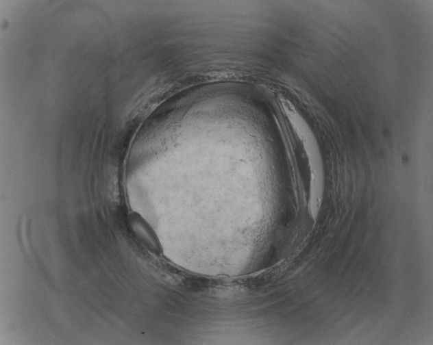 X0000077390696200611101755