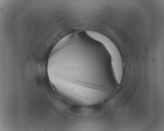 X0000077390697200611101755