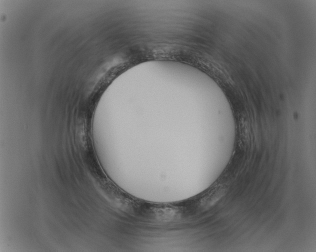 X0000077390698200611101755