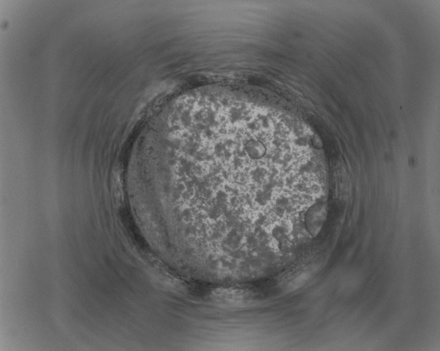 X0000077390699200611101755