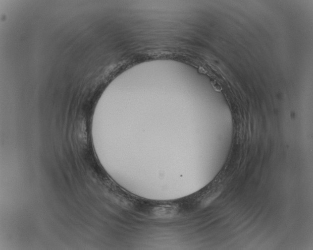 X0000077390700200611101755