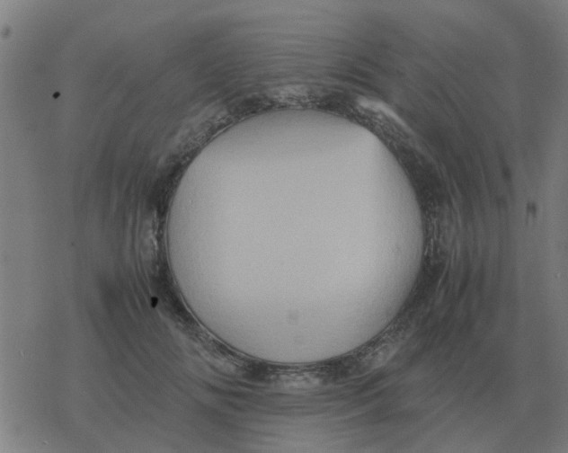 X0000077390702200611101755