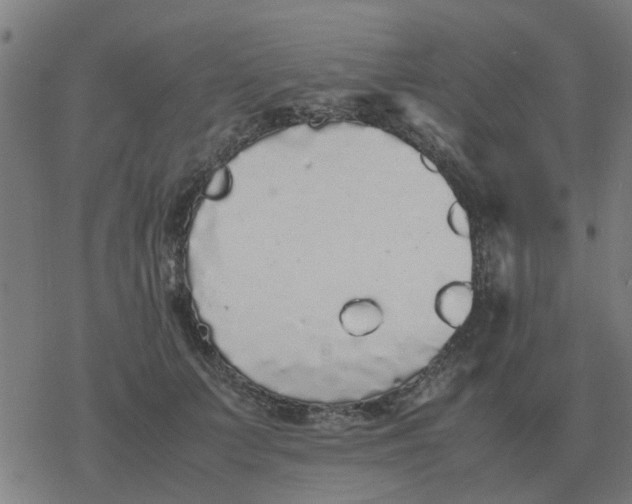 X0000077390703200611101754