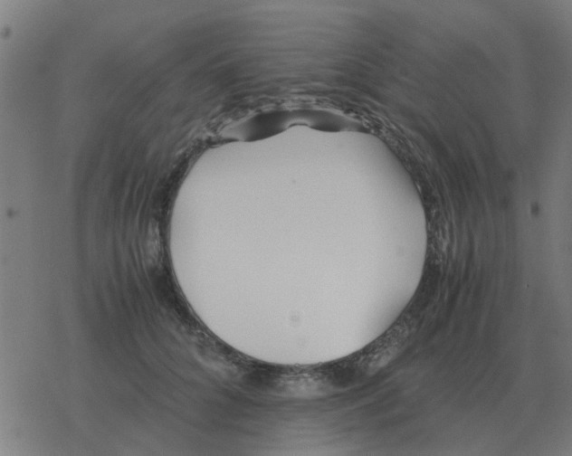 X0000077390704200611101754