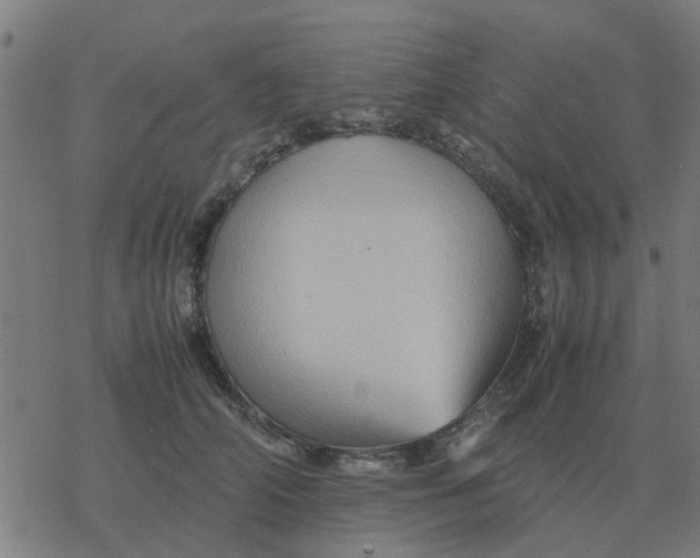 X0000077390706200611101754