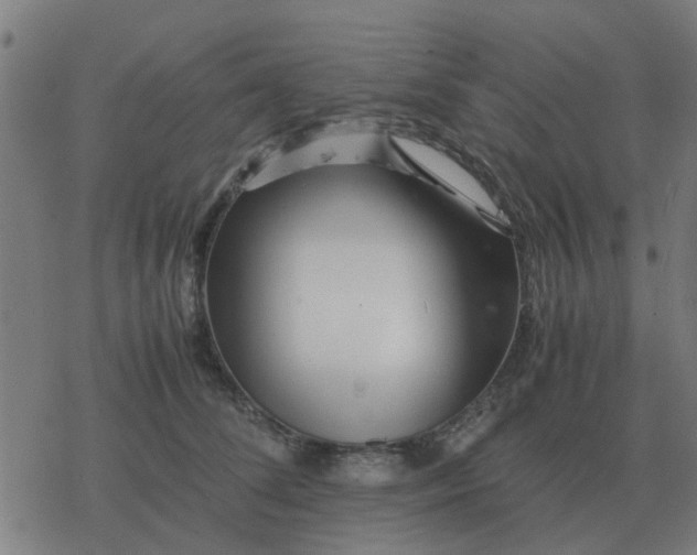 X0000077390708200611101754