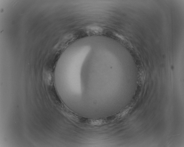 X0000077390709200611101754