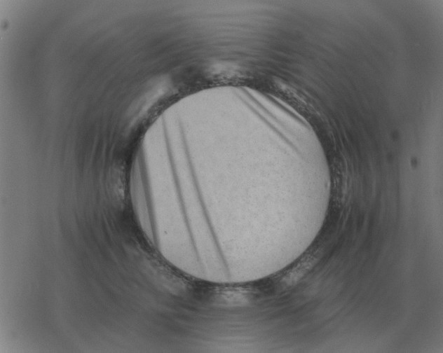 X0000077390710200611101754